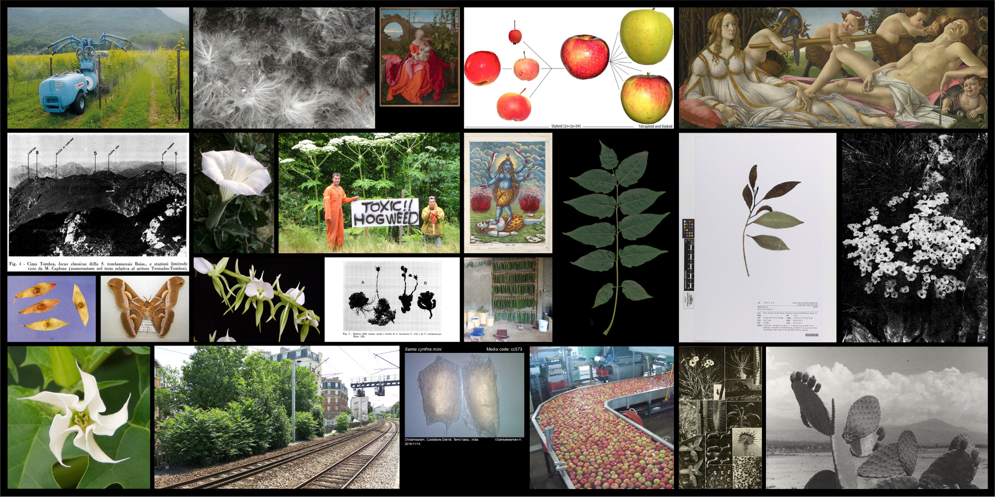 Institute for Postnatural Studies, project: Postnatural Gardening: Ecological practices for interspecies care (fig. 3)