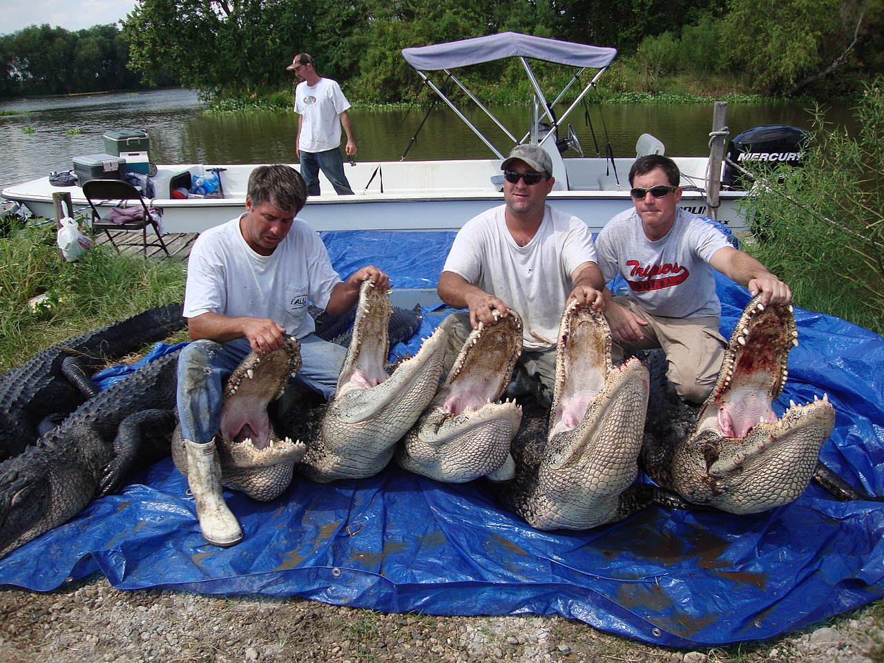 Institute for Postnatural Studies, course: WHAT IS POSTNATURE? (fig. 4)