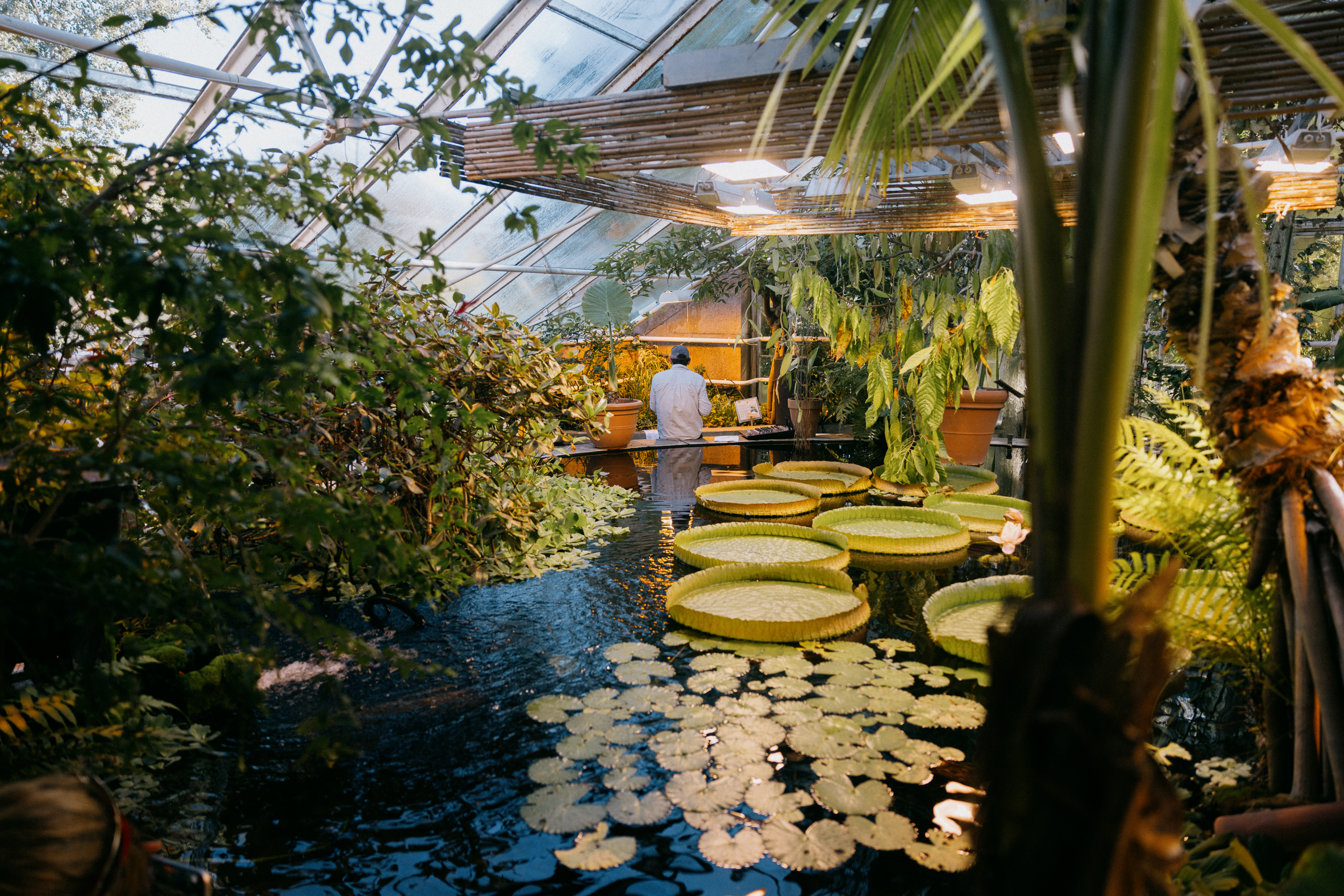 Institute for Postnatural Studies, project: HotHouse Flowers (hero landscape)