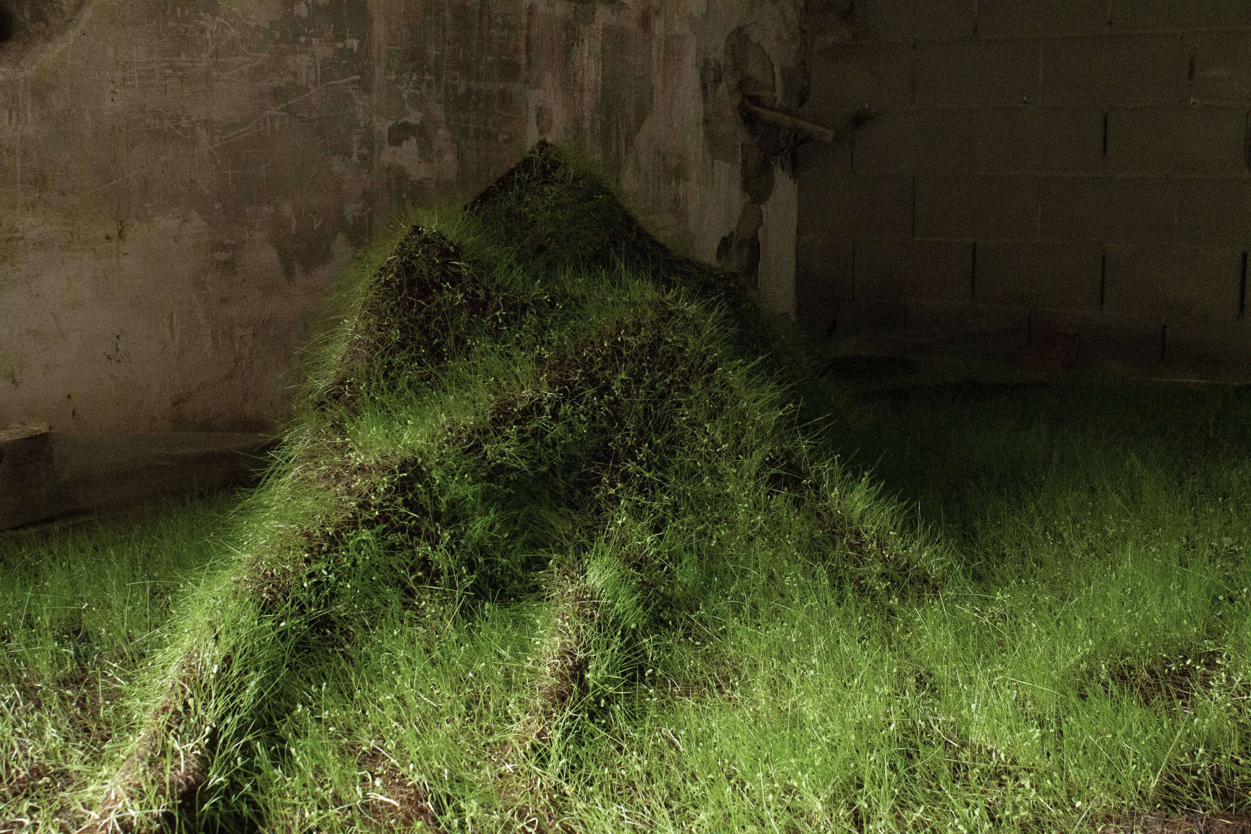 Institute for Postnatural Studies, activity: PAULA BRUNA (hero landscape)