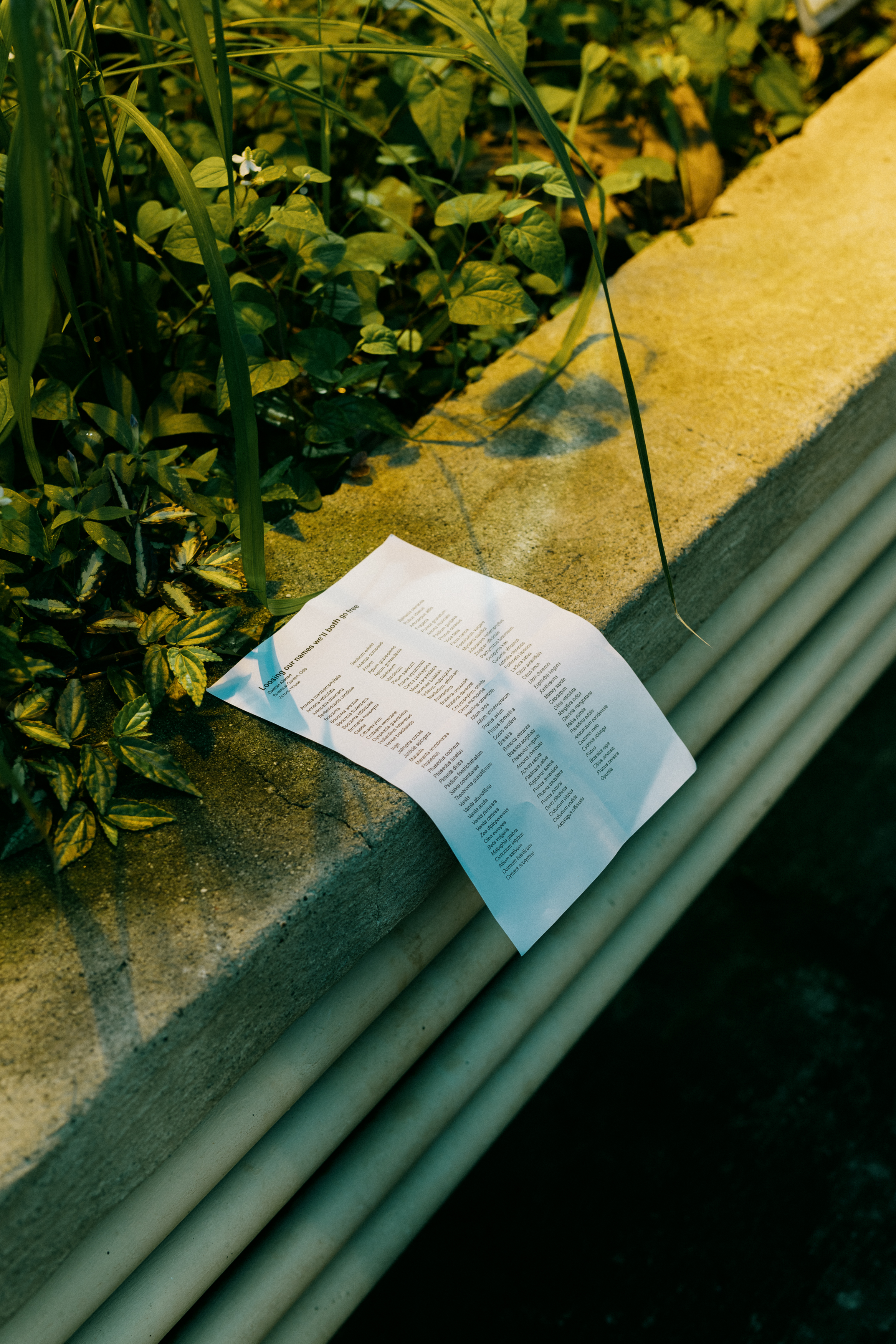 Institute for Postnatural Studies, project: HotHouse Flowers (fig. 3)