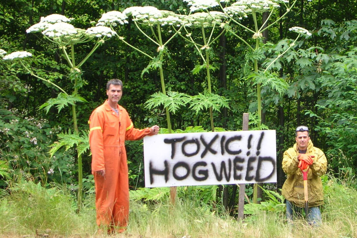 Institute for Postnatural Studies, course: POSTNATURAL GARDENING (fig. 7)