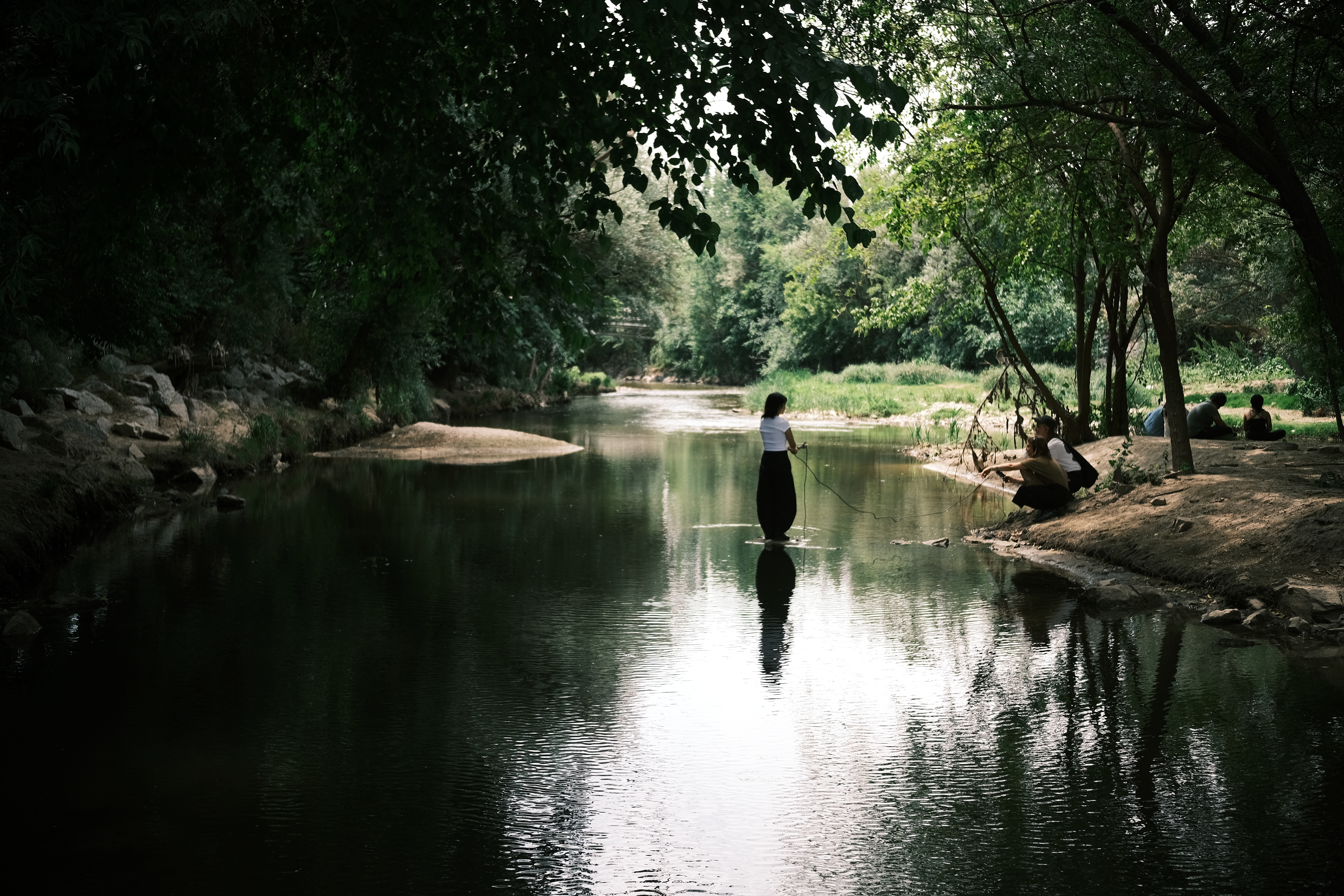 Institute for Postnatural Studies, course: POSTNATURAL INDEPENDENT PROGRAM 2026 (hero landscape)
