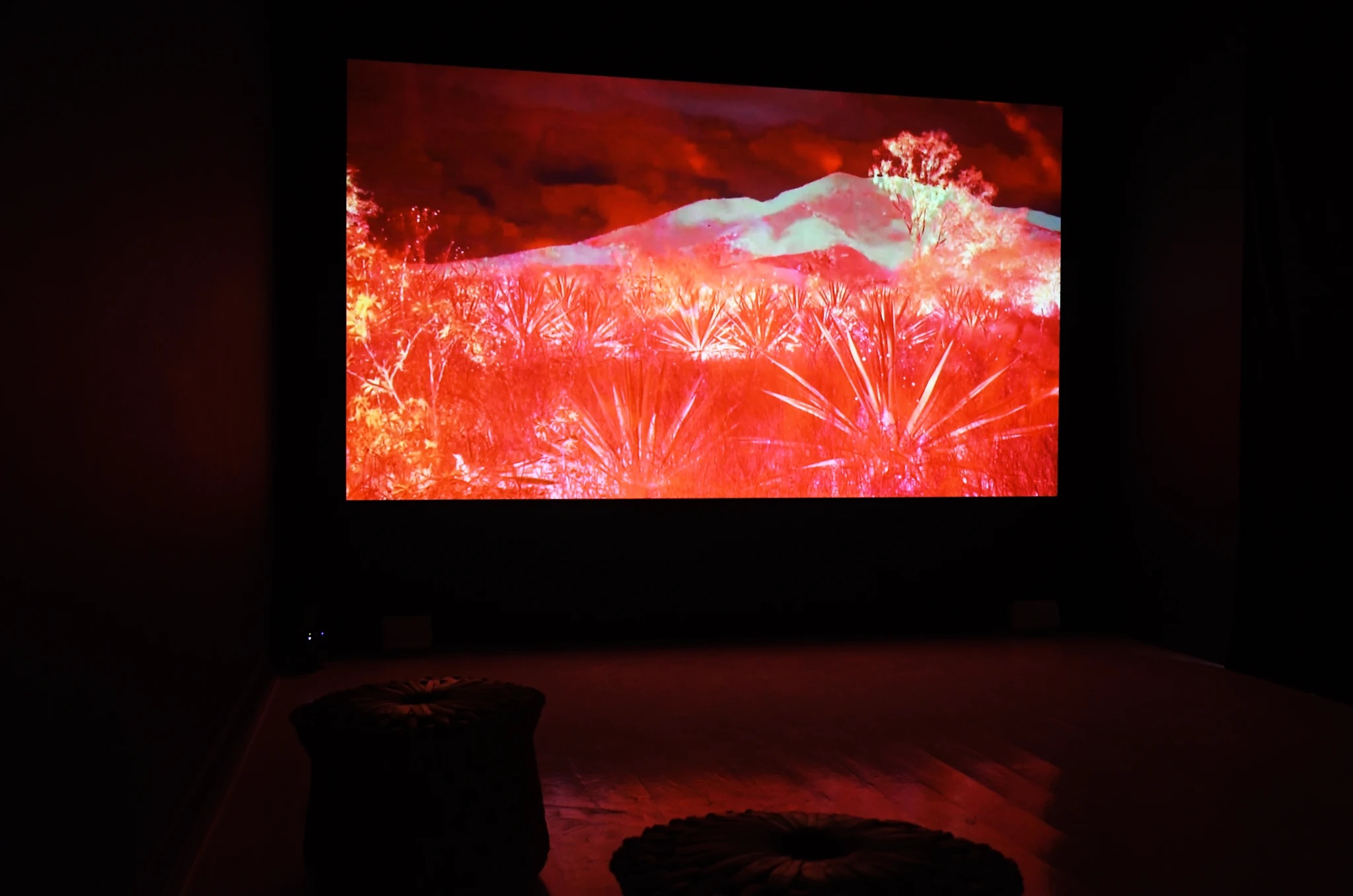 Institute for Postnatural Studies, project: SER MONTAÑA (fig. 2)