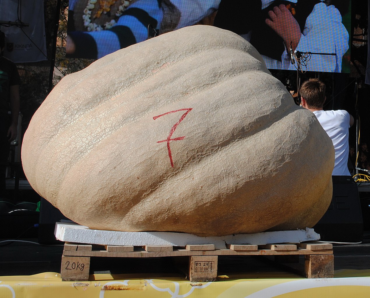 Institute for Postnatural Studies, course: WHAT IS POSTNATURE? (fig. 6)