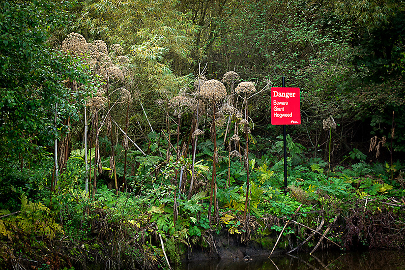 Institute for Postnatural Studies, course: POSTNATURAL GARDENING (fig. 2)