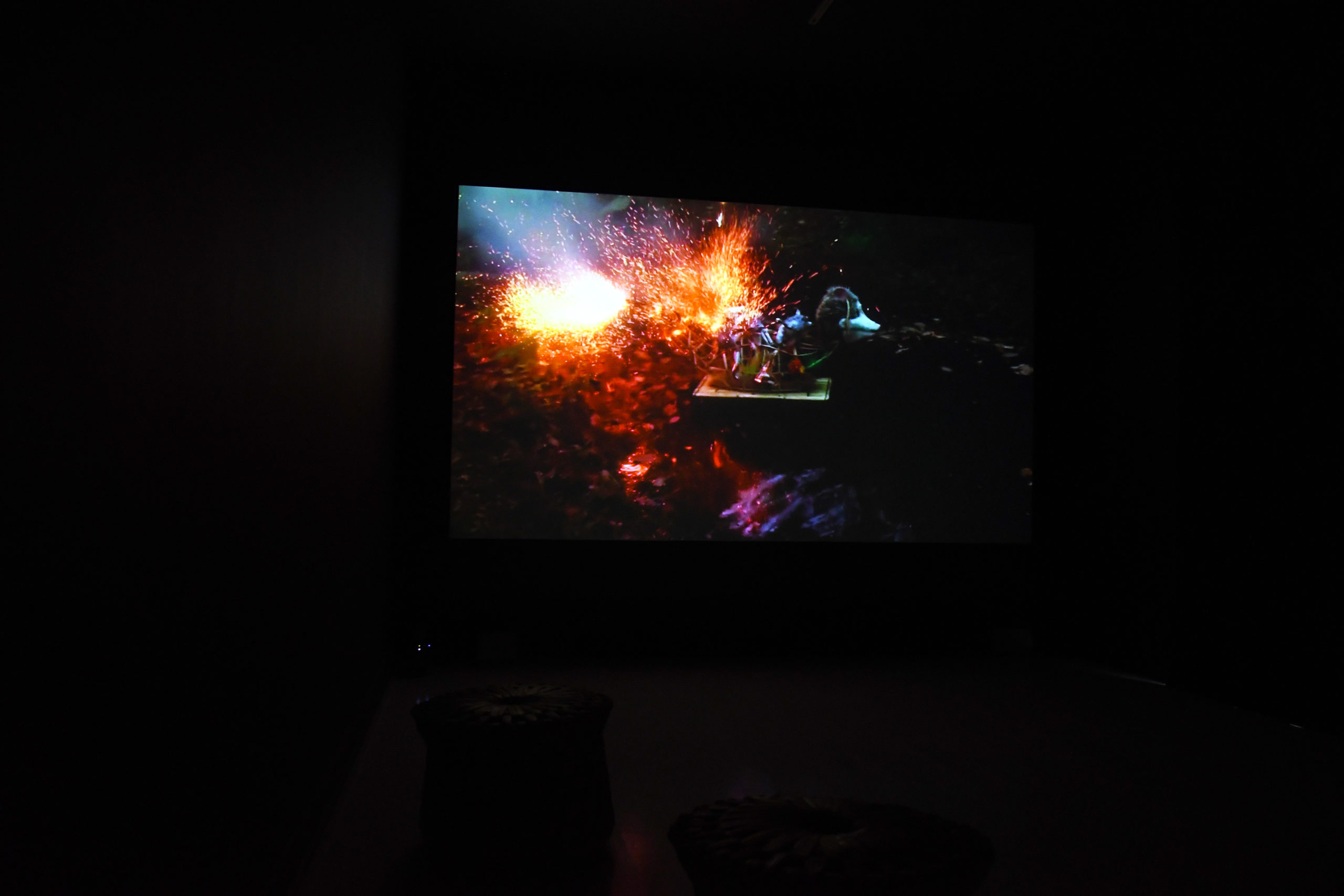 Institute for Postnatural Studies, project: SER MONTAÑA (hero landscape)