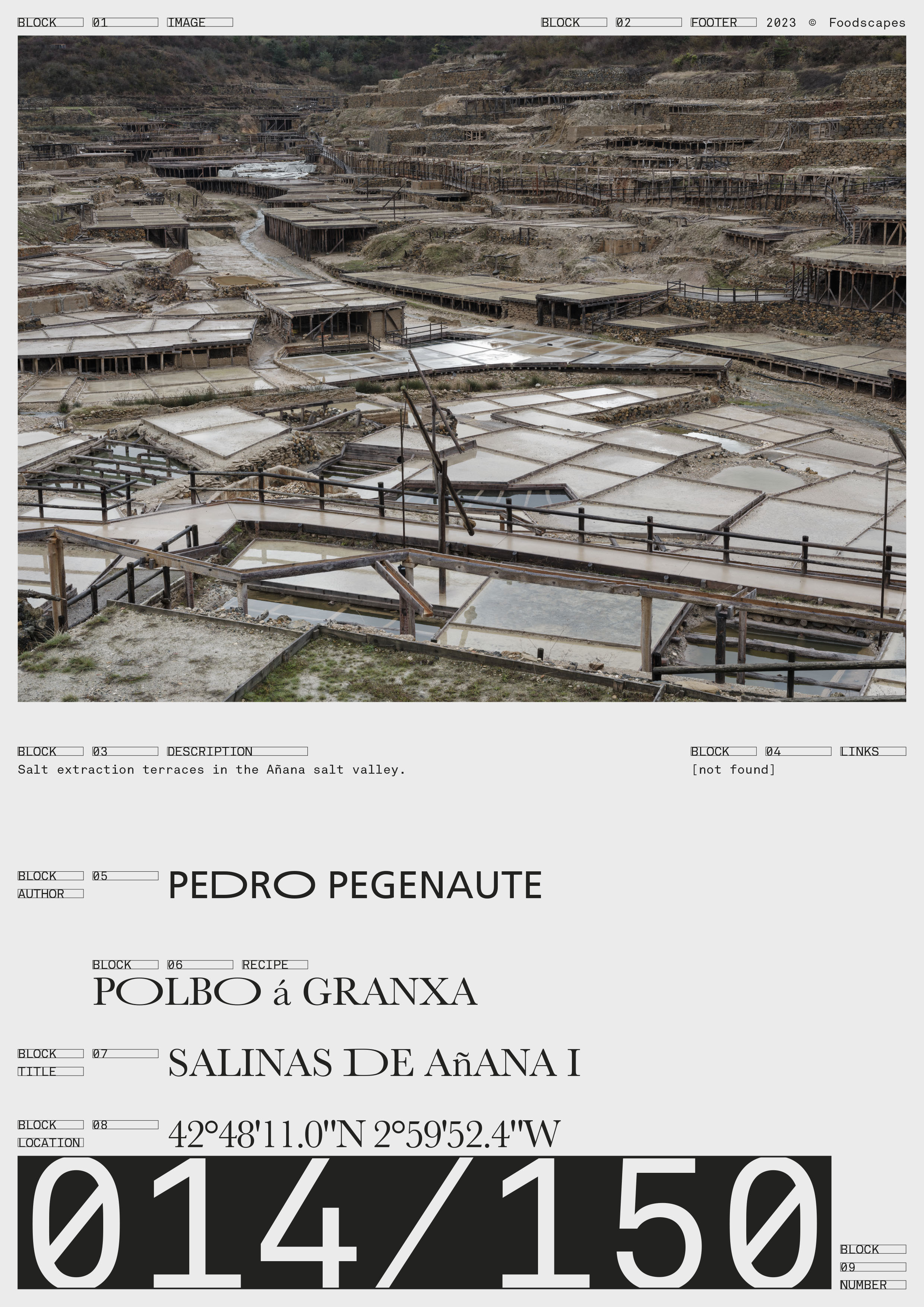 Institute for Postnatural Studies, project: FROM FLESH TO DATA (fig. 15)