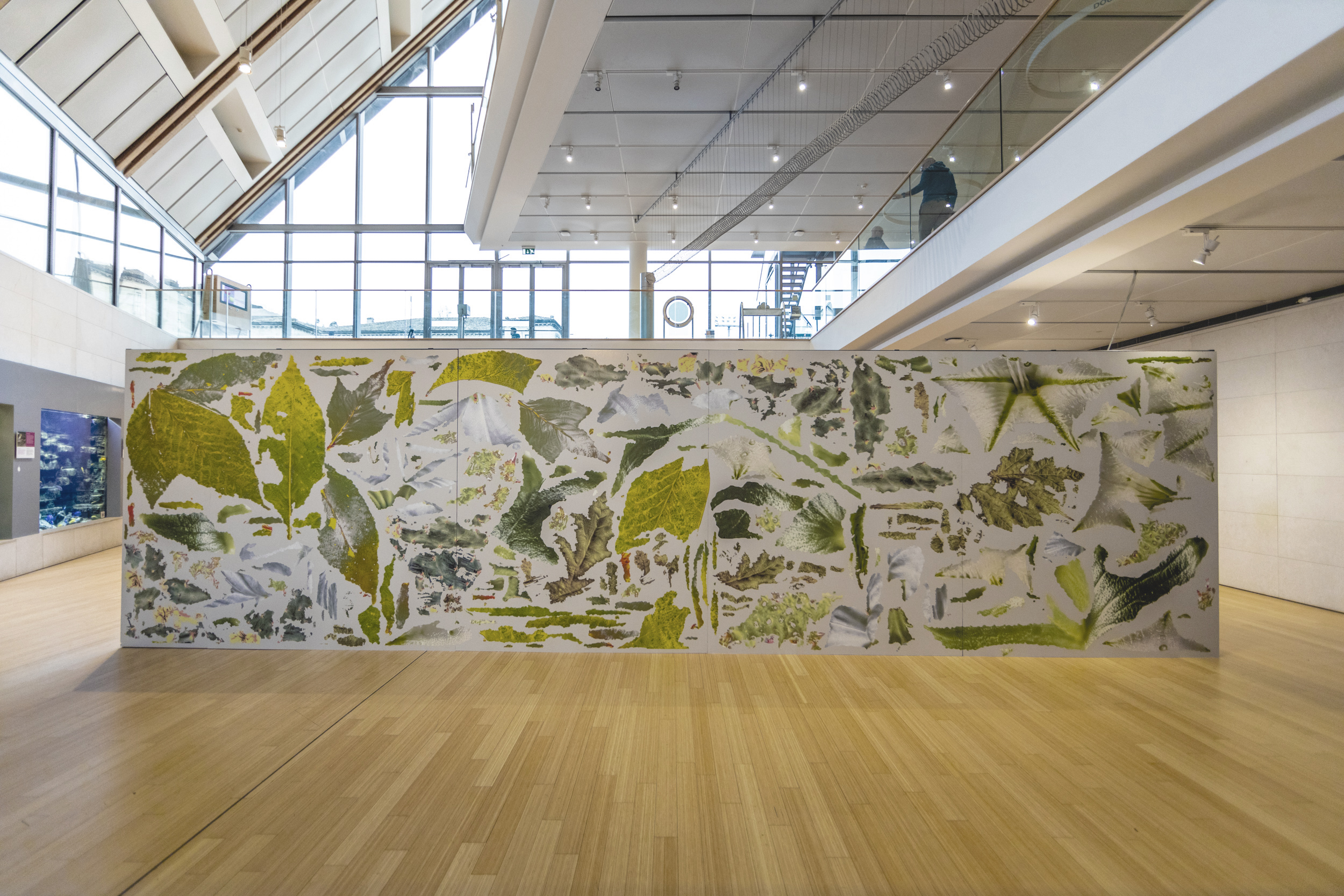 Institute for Postnatural Studies, project: Postnatural Gardening: Ecological practices for interspecies care (hero landscape)