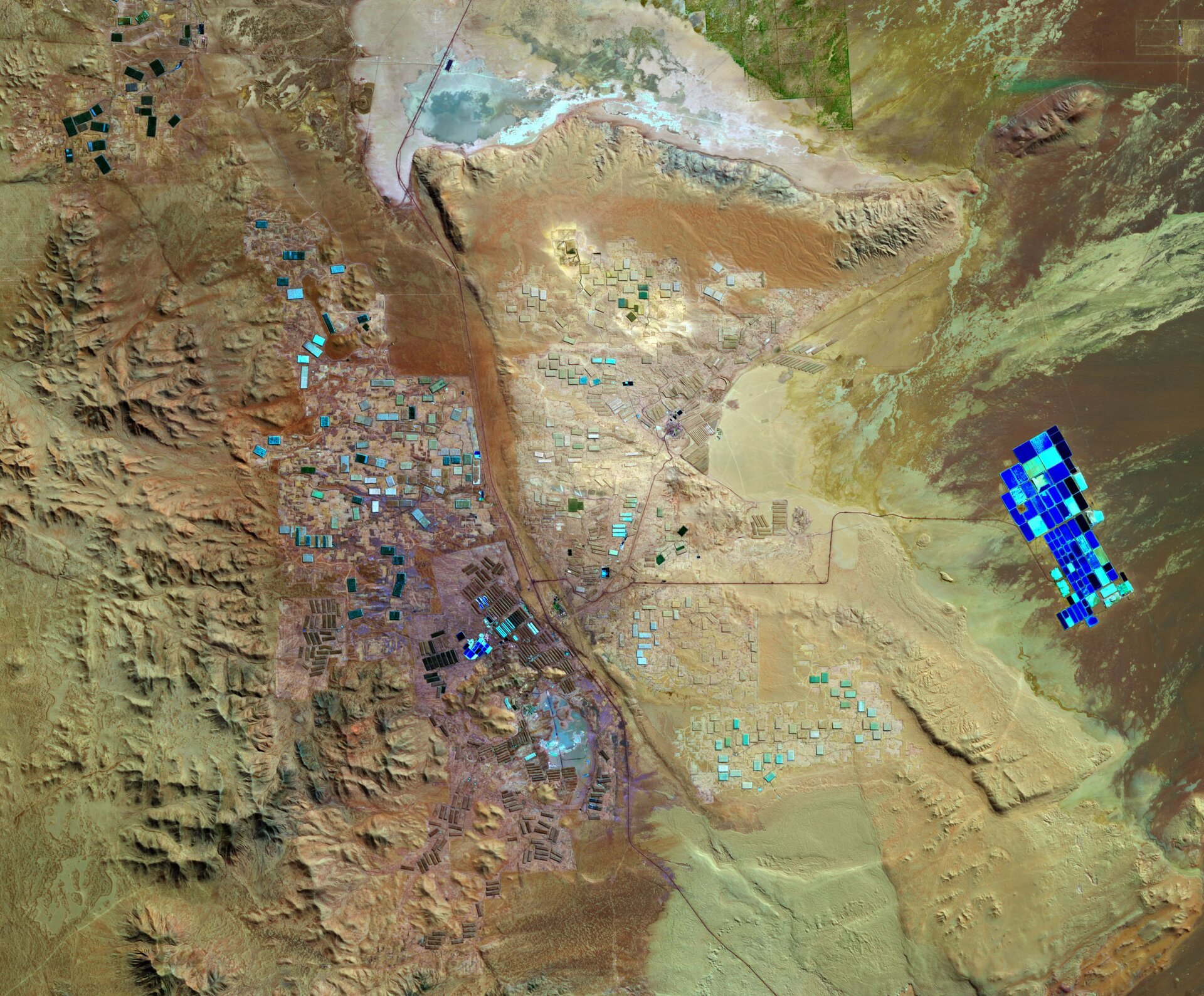 Institute for Postnatural Studies, project: TENTACULAR: More-than-Human Ecologies in the Age of Artificial Intelligence (hero landscape)
