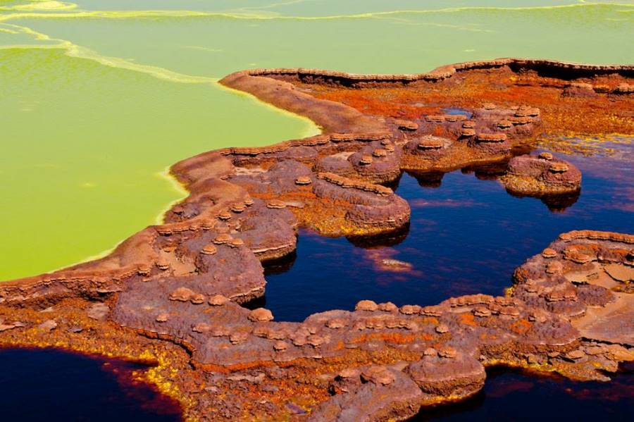 Institute for Postnatural Studies, course: ACIDIC WATERS (fig. 1)