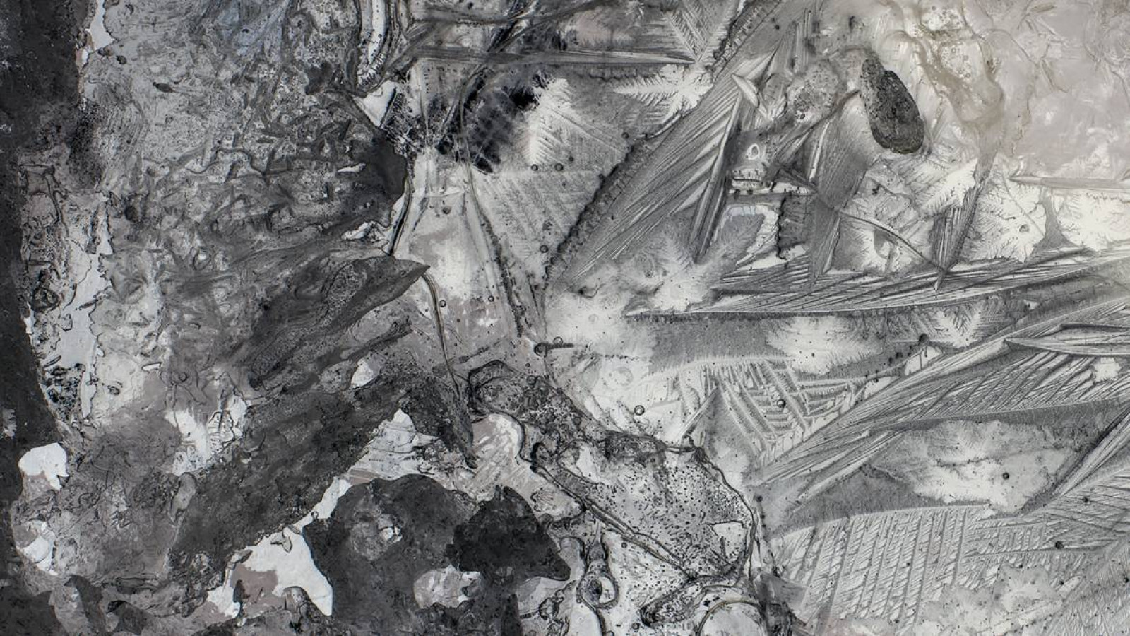 Institute for Postnatural Studies, project: PRECIOUS STRATA (hero landscape)