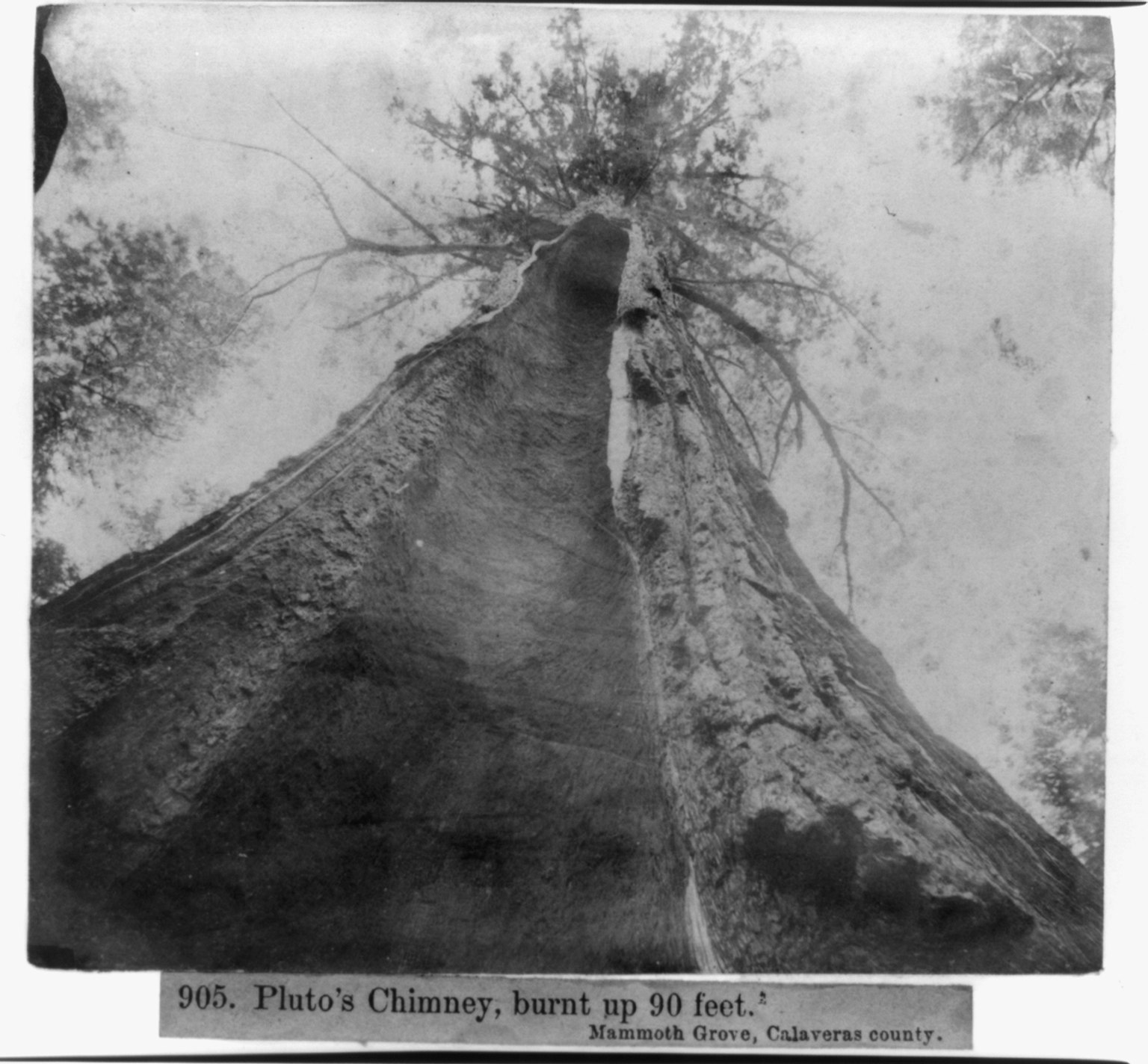 Institute for Postnatural Studies, project: ASHTE (fig. 4)