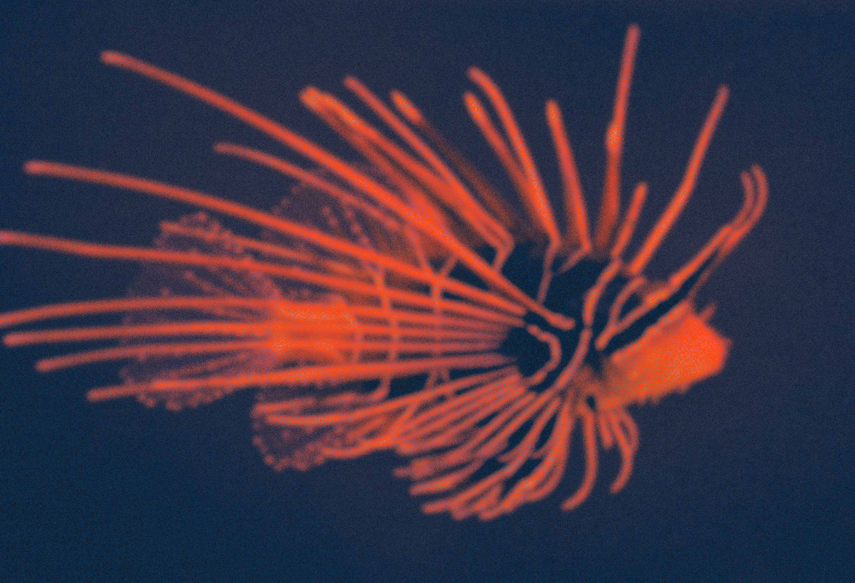 Institute for Postnatural Studies, course: ALTERNATIVE ECOLOGIES POSTGRADUATE PROGRAM (fig. 2)