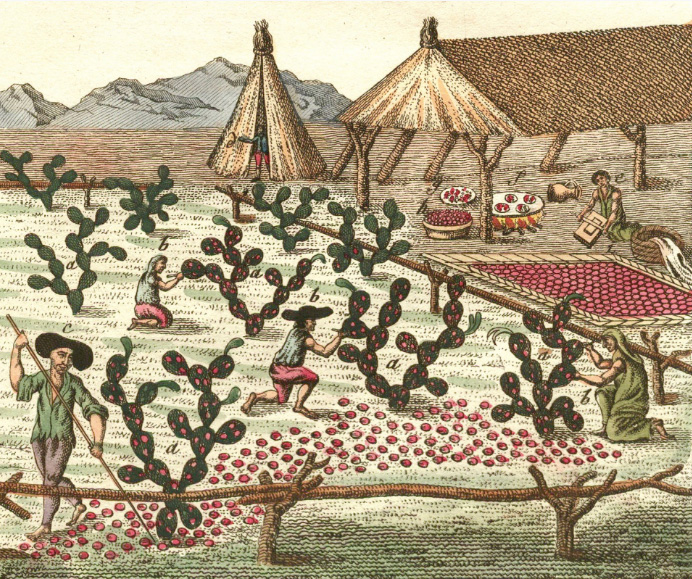 Institute for Postnatural Studies, course: POSTNATURAL GARDENING (fig. 5)