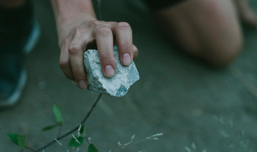 Institute for Postnatural Studies, course: ALTERNATIVE ECOLOGIES POSTGRADUATE PROGRAM (fig. 5)