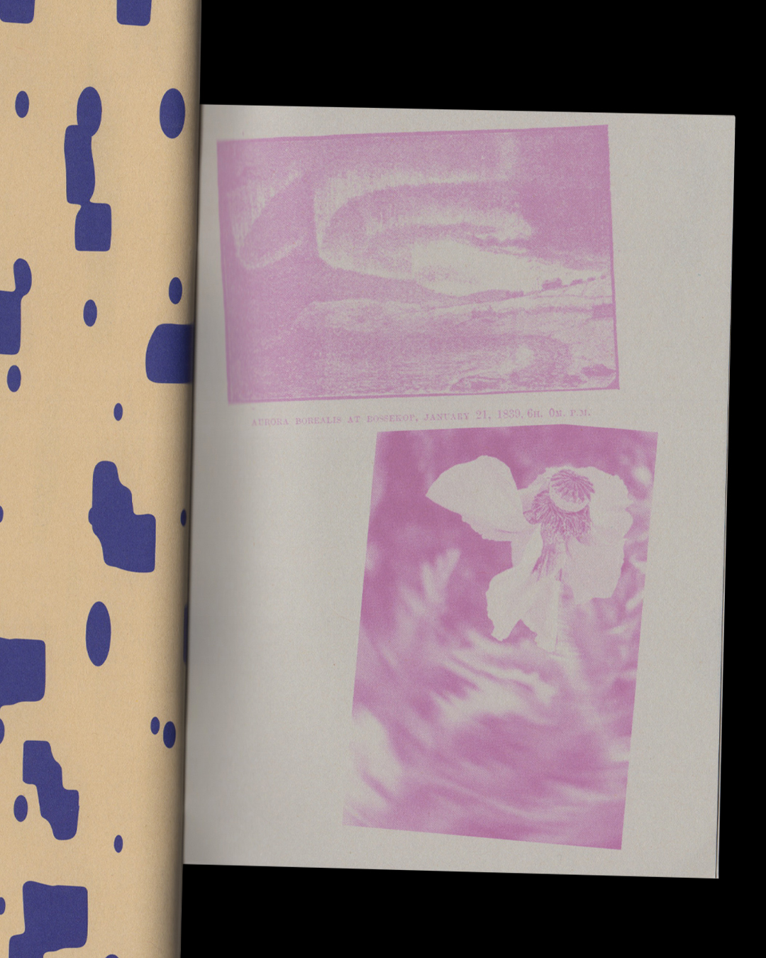 Institute for Postnatural Studies, project: THE LISTENING AFFECT (fig. 22)