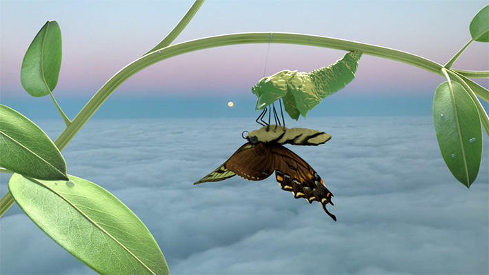 Institute for Postnatural Studies, course: Queer Ecologies: The Unnatural (fig. 1)