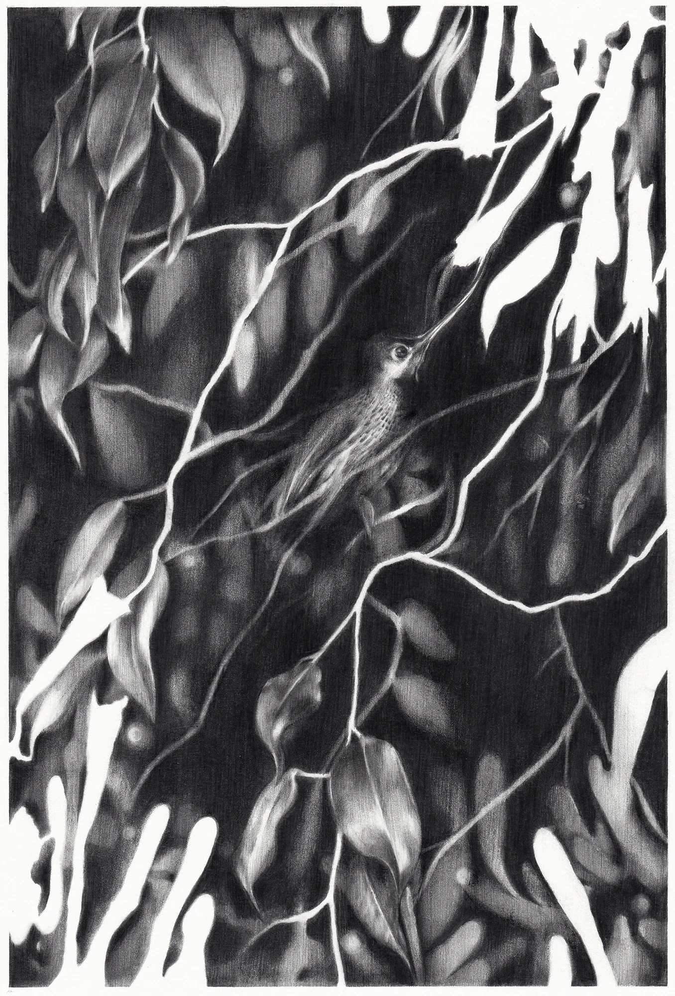 Institute for Postnatural Studies, activity: MARIANNE HOFFMEISTER (fig. 2)