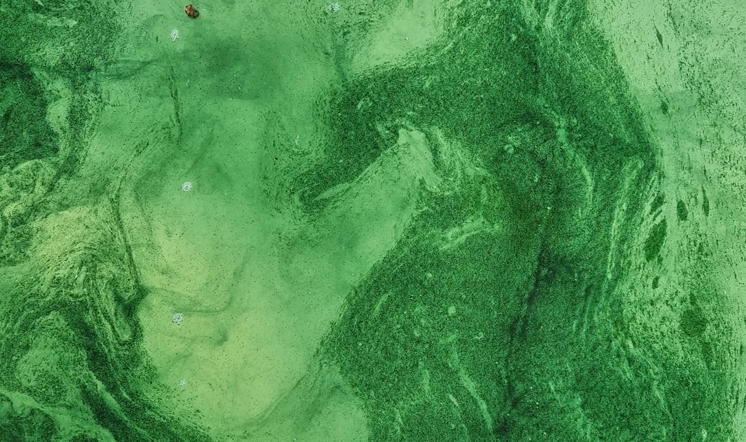 Institute for Postnatural Studies, project: SOFT MATTER, DEEP TIME (hero landscape)